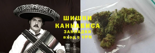 ГАЛЛЮЦИНОГЕННЫЕ ГРИБЫ Заволжск