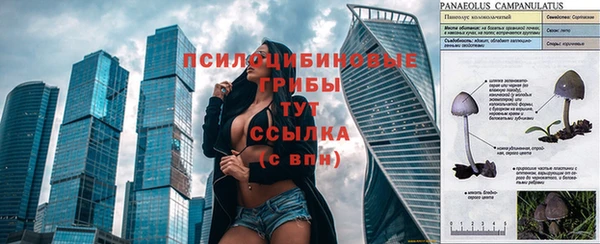 ГАЛЛЮЦИНОГЕННЫЕ ГРИБЫ Заволжск