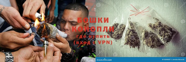 ГАЛЛЮЦИНОГЕННЫЕ ГРИБЫ Заволжск
