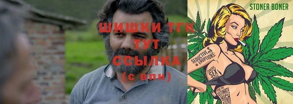 ГАЛЛЮЦИНОГЕННЫЕ ГРИБЫ Заволжск