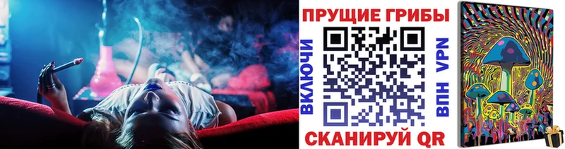 hydra tor  Порхов  Псилоцибиновые грибы Cubensis 
